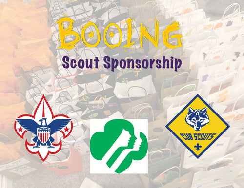 Scout Sponsorship